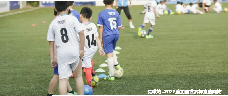 服务理念：透明与陪伴