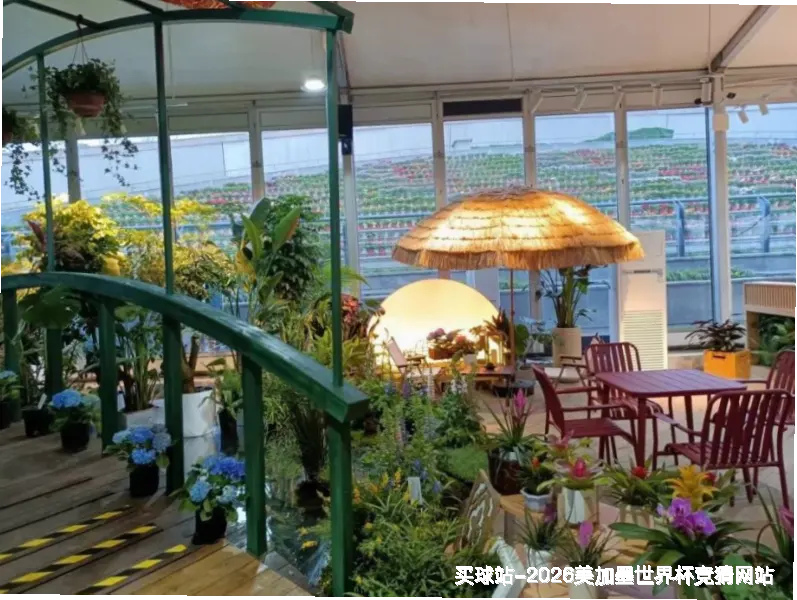未来愿景：让预测成为艺术